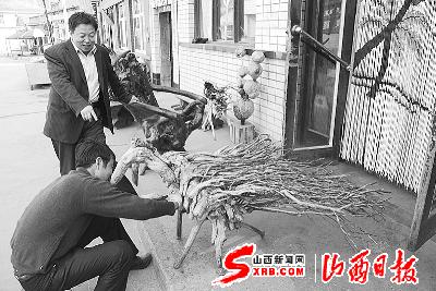 山西：构思新颖 石咀乡民间根雕非常“火”
