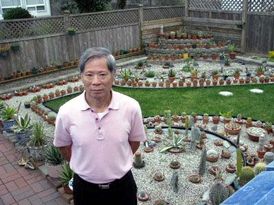 戴国威：35年打造仙人掌世界 收藏逾5000盆栽
