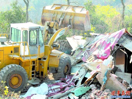 山林绿树被毁建成简易棚户 违建被铲车“端”走