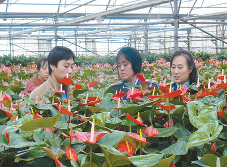 标准化助推晋源区花卉产业做大做强