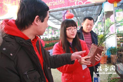 发布会来宾鉴赏“春兰奇花”